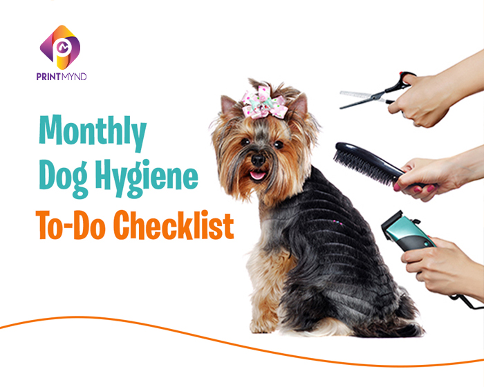 Monthly Dog Hygiene To-Do Checklist