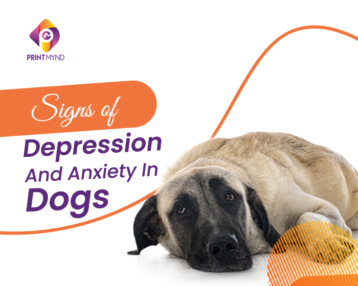 signs of depression and anxiety in dogs