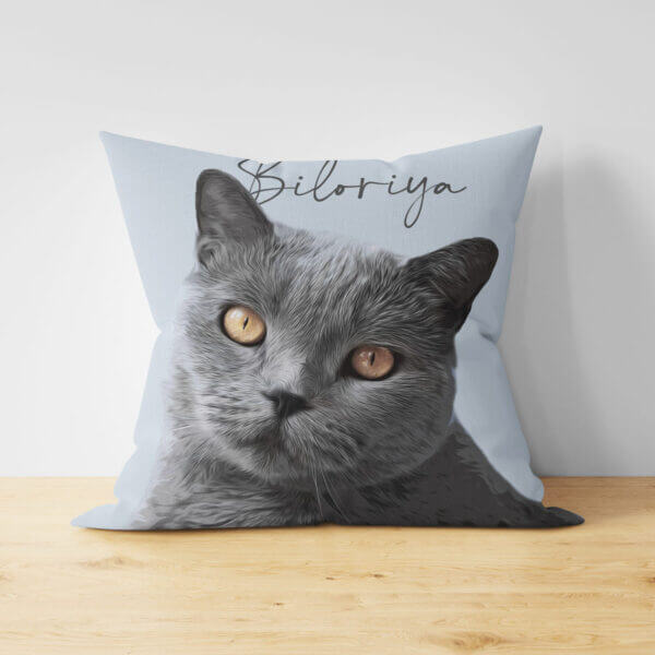 Custom Pet Pillow