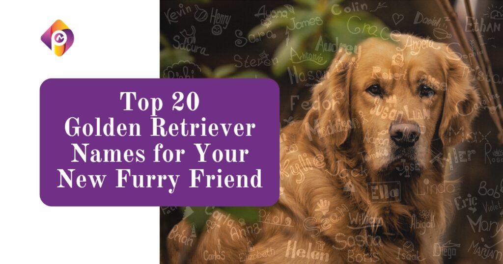 Golden Retriever Names